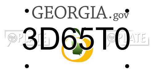 3D65T0 Georgia License Plate