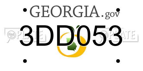 3DD053 Georgia License Plate