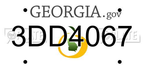 3DD4067 Georgia License Plate
