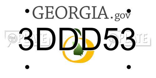 3DDD53 Georgia License Plate