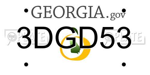 3DGD53 Georgia License Plate