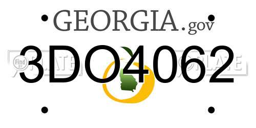 3DO4062 Georgia License Plate