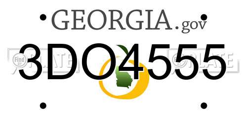 3DO4555 Georgia License Plate