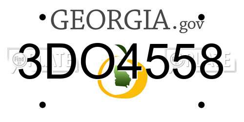 3DO4558 Georgia License Plate