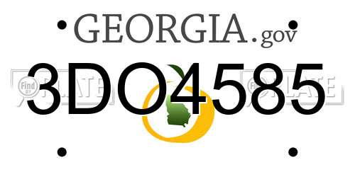 3DO4585 Georgia License Plate