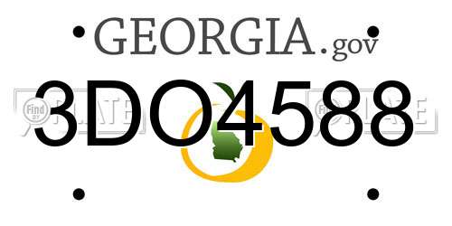 3DO4588 Georgia License Plate