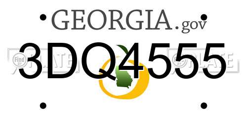 3DQ4555 Georgia License Plate