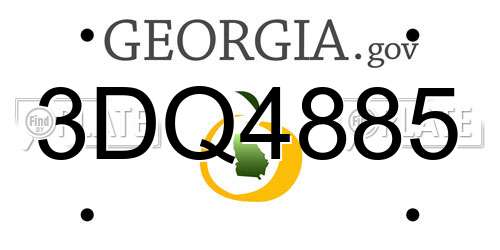 3DQ4885 Georgia License Plate