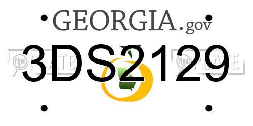 3DS2129 Georgia License Plate