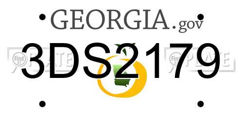 3DS2179 Georgia License Plate