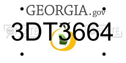 3DT3664 Georgia License Plate