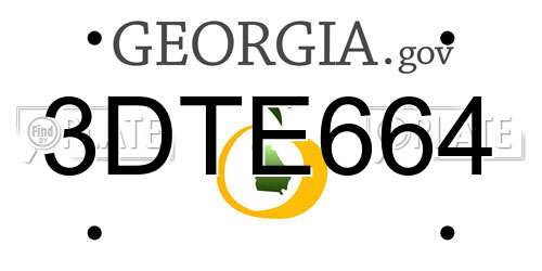 3DTE664 Georgia License Plate