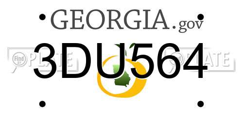 3DU564 Georgia License Plate