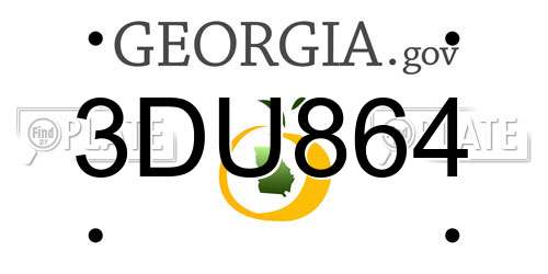 3DU864 Georgia License Plate