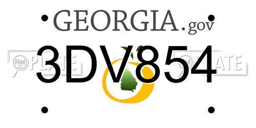 3DV854 Georgia License Plate