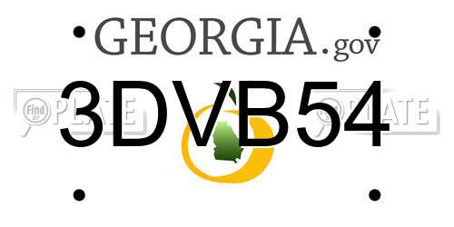3DVB54 Georgia License Plate