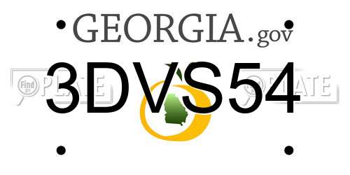 3DVS54 Georgia License Plate