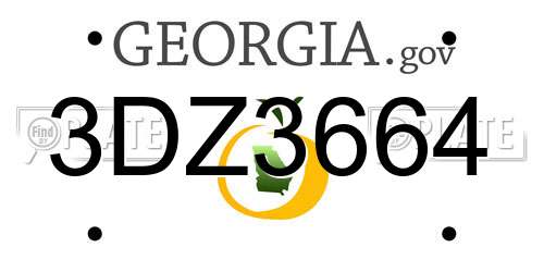 3DZ3664 Georgia License Plate