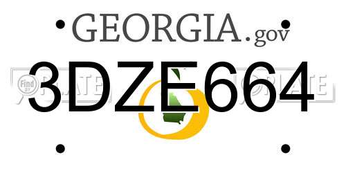3DZE664 Georgia License Plate