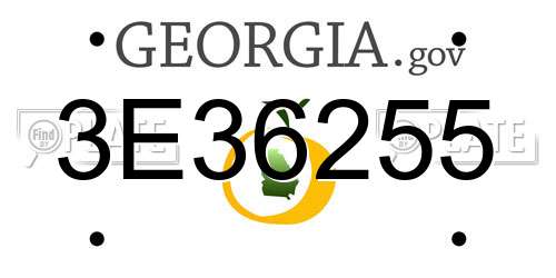 3E36255 Georgia License Plate