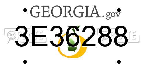 3E36288 Georgia License Plate