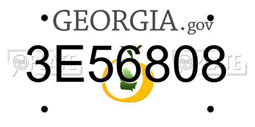 3E56808 Georgia License Plate