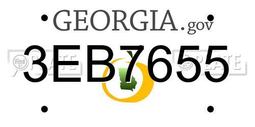 3EB7655 Georgia License Plate