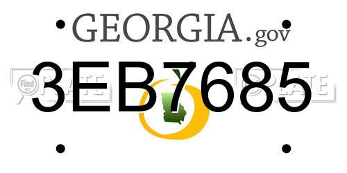 3EB7685 Georgia License Plate