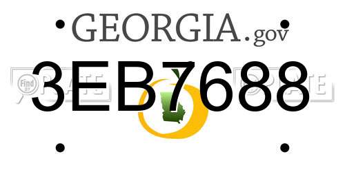3EB7688 Georgia License Plate