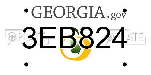 3EB824 Georgia License Plate