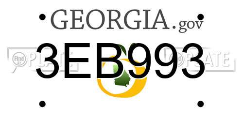 3EB993 Georgia License Plate