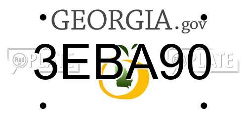 3EBA90 Georgia License Plate