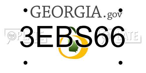 3EBS66 Georgia License Plate