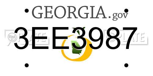 3EE3987 Georgia License Plate