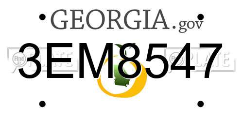 3EM8547 Georgia License Plate