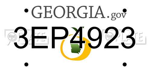3EP4923 Georgia License Plate