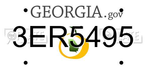 3ER5495 Georgia License Plate