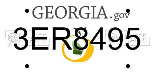 3ER8495 Georgia License Plate
