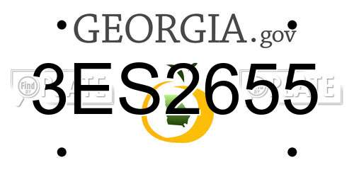 3ES2655 Georgia License Plate