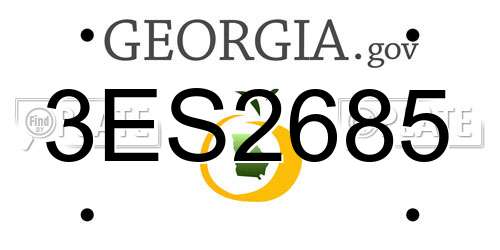3ES2685 Georgia License Plate