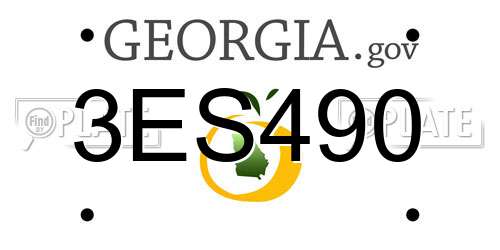 3ES490 Georgia License Plate
