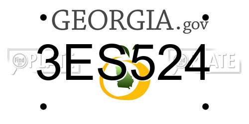 3ES524 Georgia License Plate