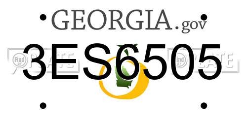 3ES6505 Georgia License Plate
