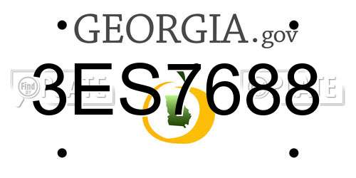 3ES7688 Georgia License Plate