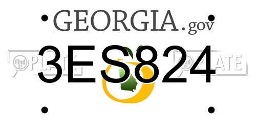 3ES824 Georgia License Plate