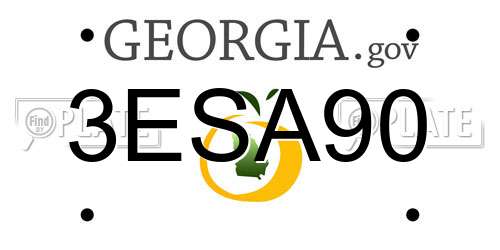 3ESA90 Georgia License Plate