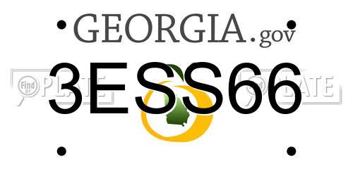 3ESS66 Georgia License Plate