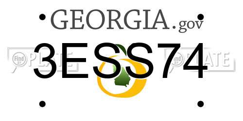 3ESS74 Georgia License Plate