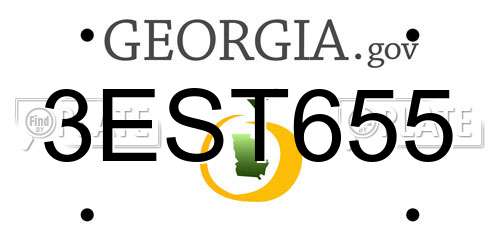 3EST655 Georgia License Plate
