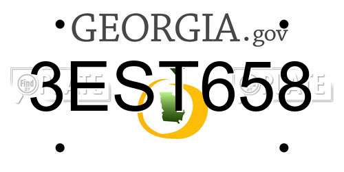 3EST658 Georgia License Plate